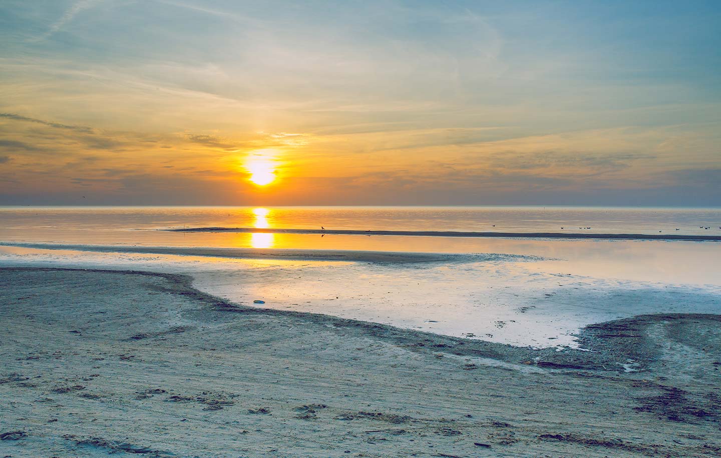 Medizin studieren in Riga. Medizinstudium in Lettland.