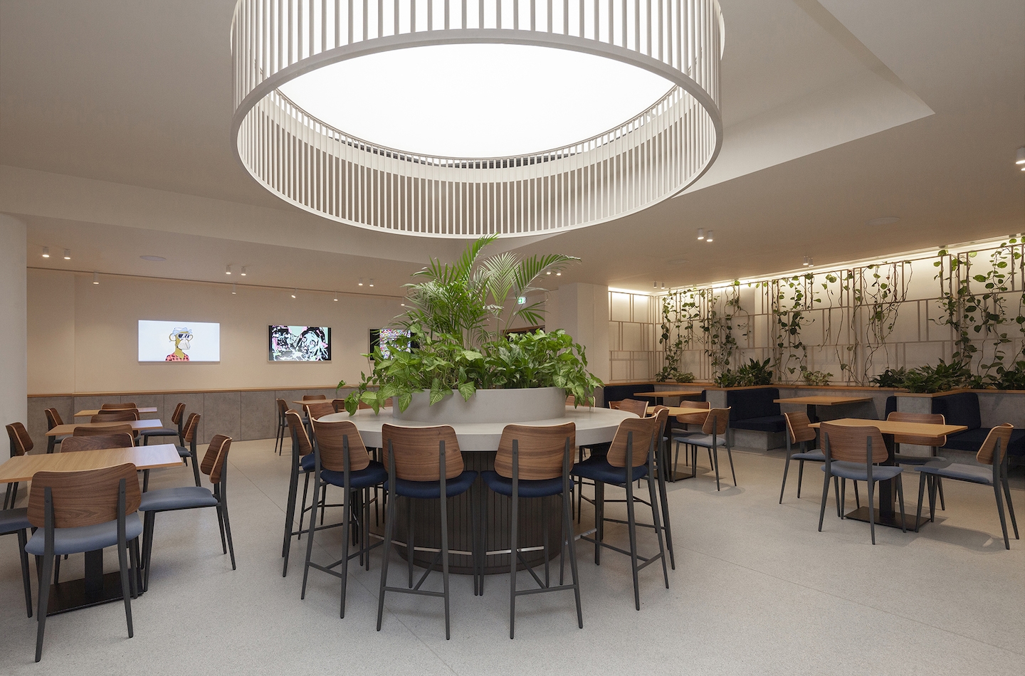 University of Nicosia auf Zypern - Medizinstudium im Ausland