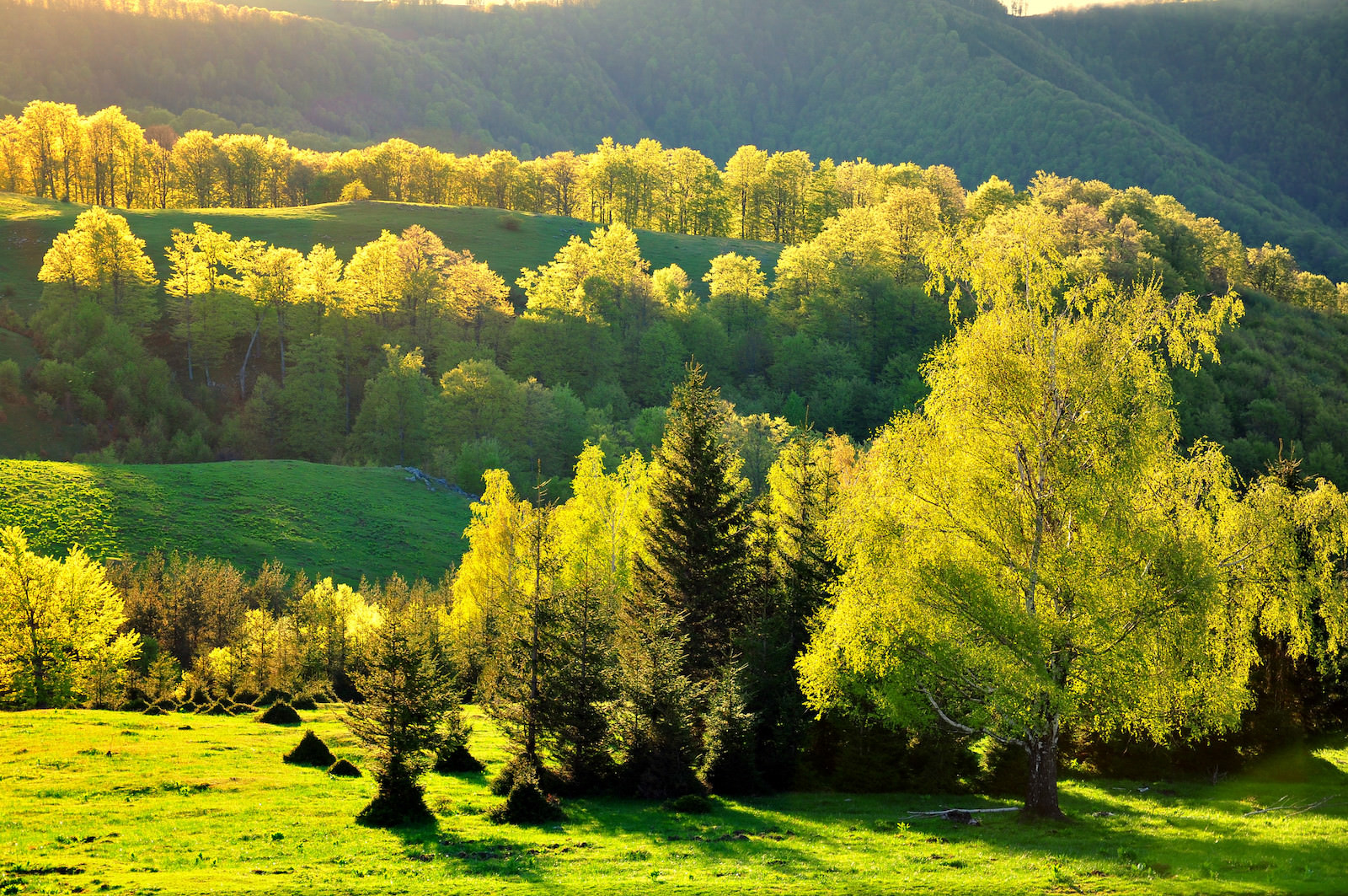 Medizinstudium in Pleven