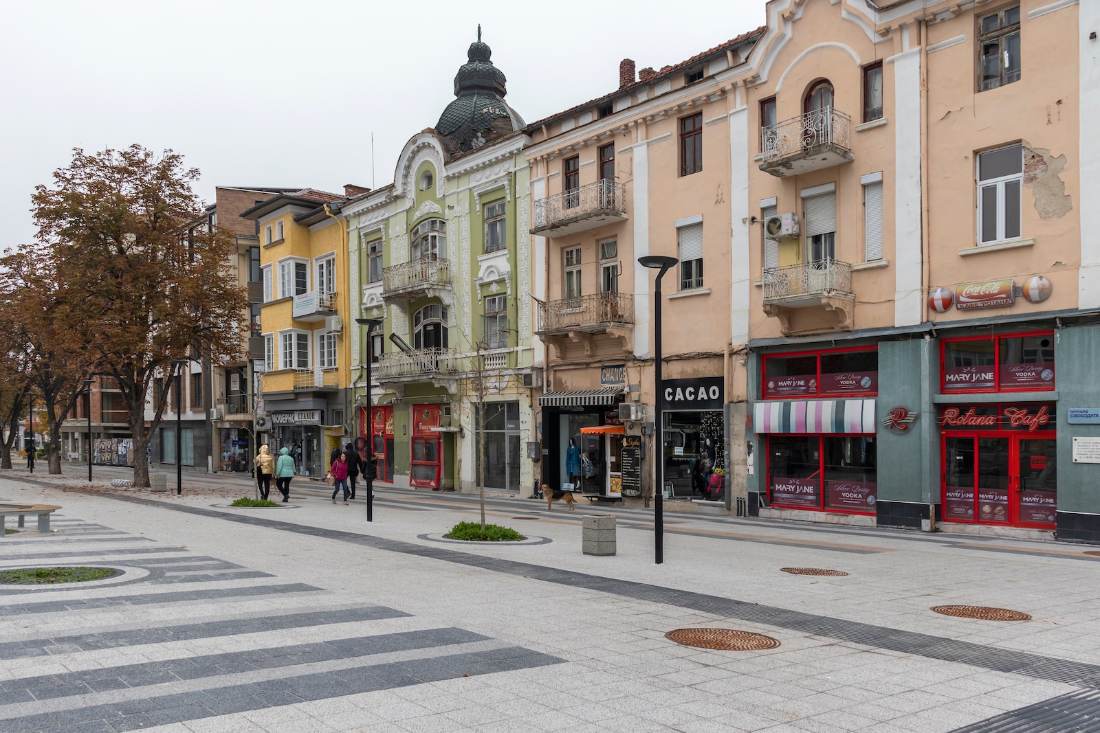 Medizinstudium in Pleven