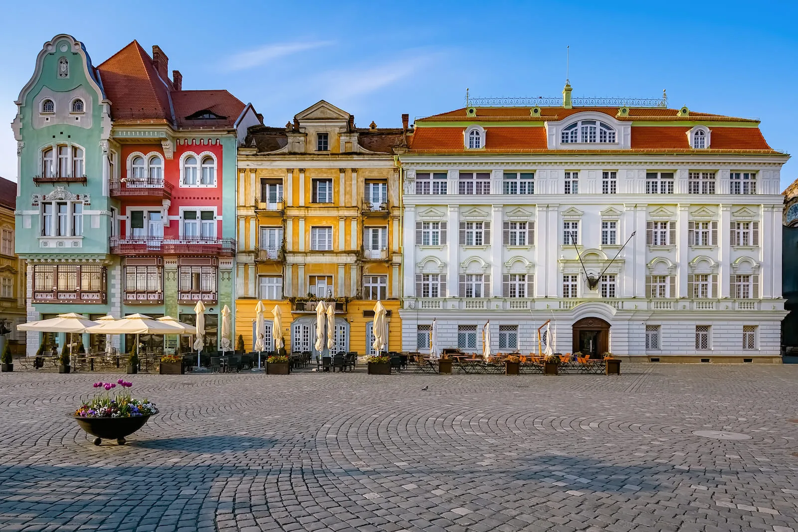 Medizinstudium in Timisoara