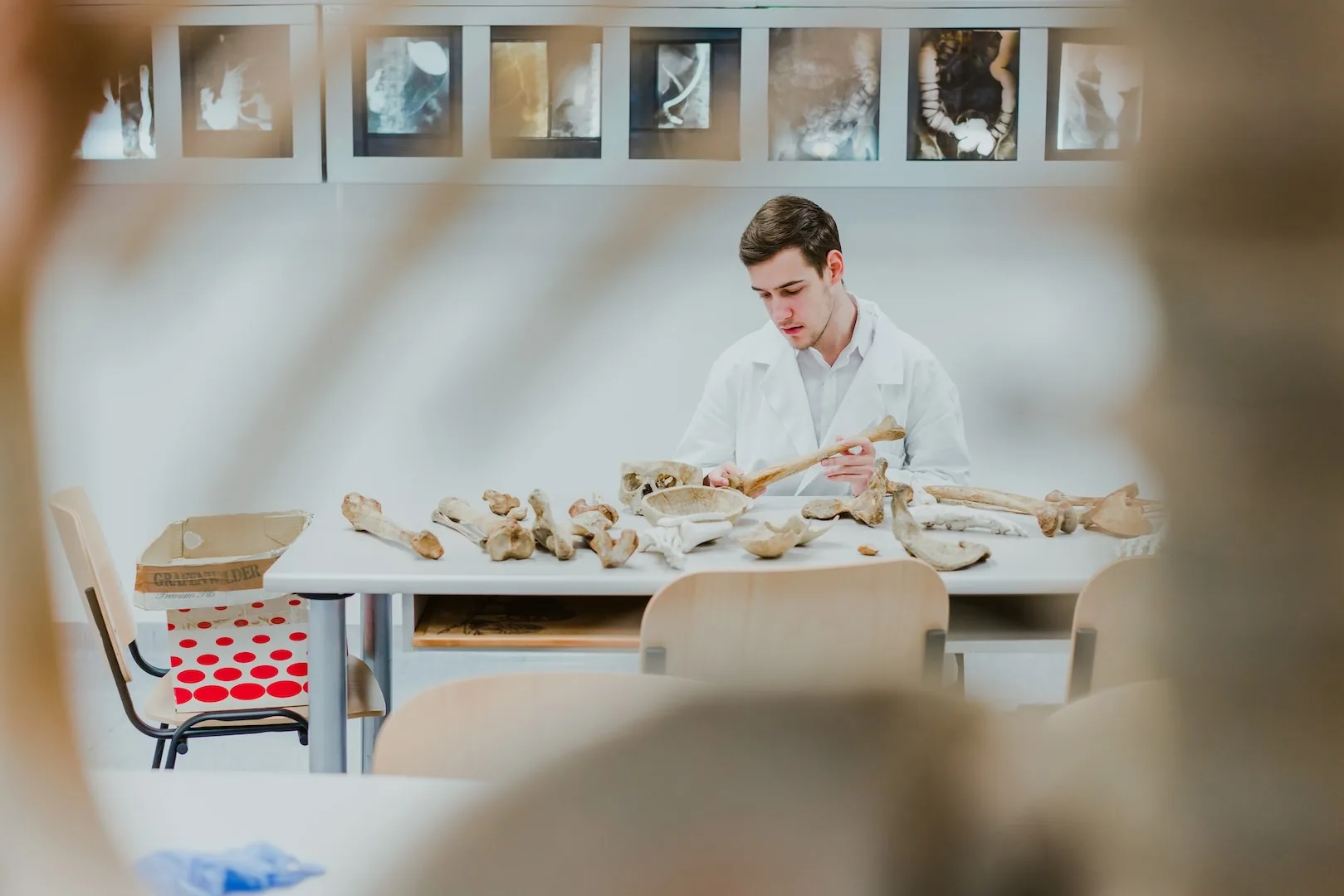 Masaryk Universität Brünn, medizinische Fakultät, Brünn Tschechien