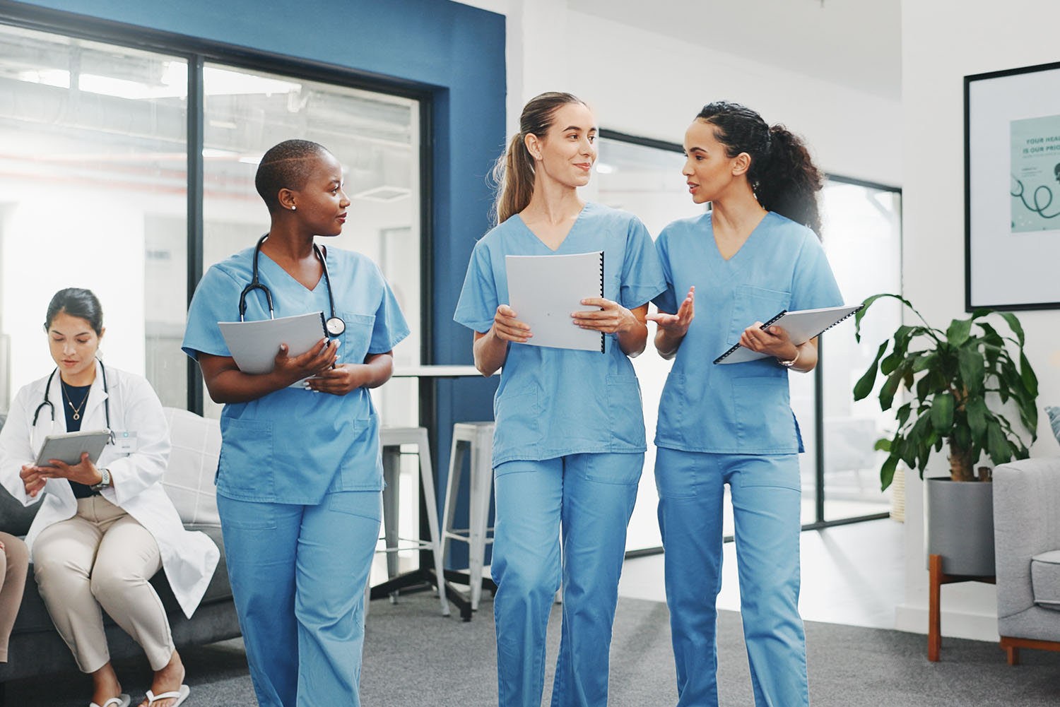 Medizinstudium in Deutschland – Wo kann man im Sommer- und Wintersemester studieren?