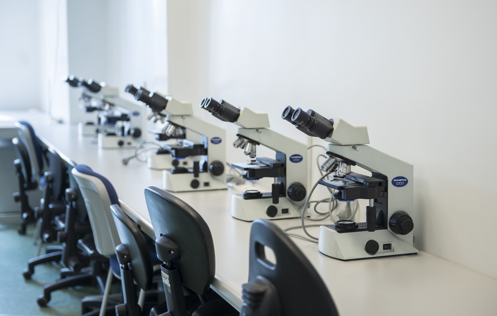 Medizinische Universität Lodz in Polen - Medizinstudium in Polen