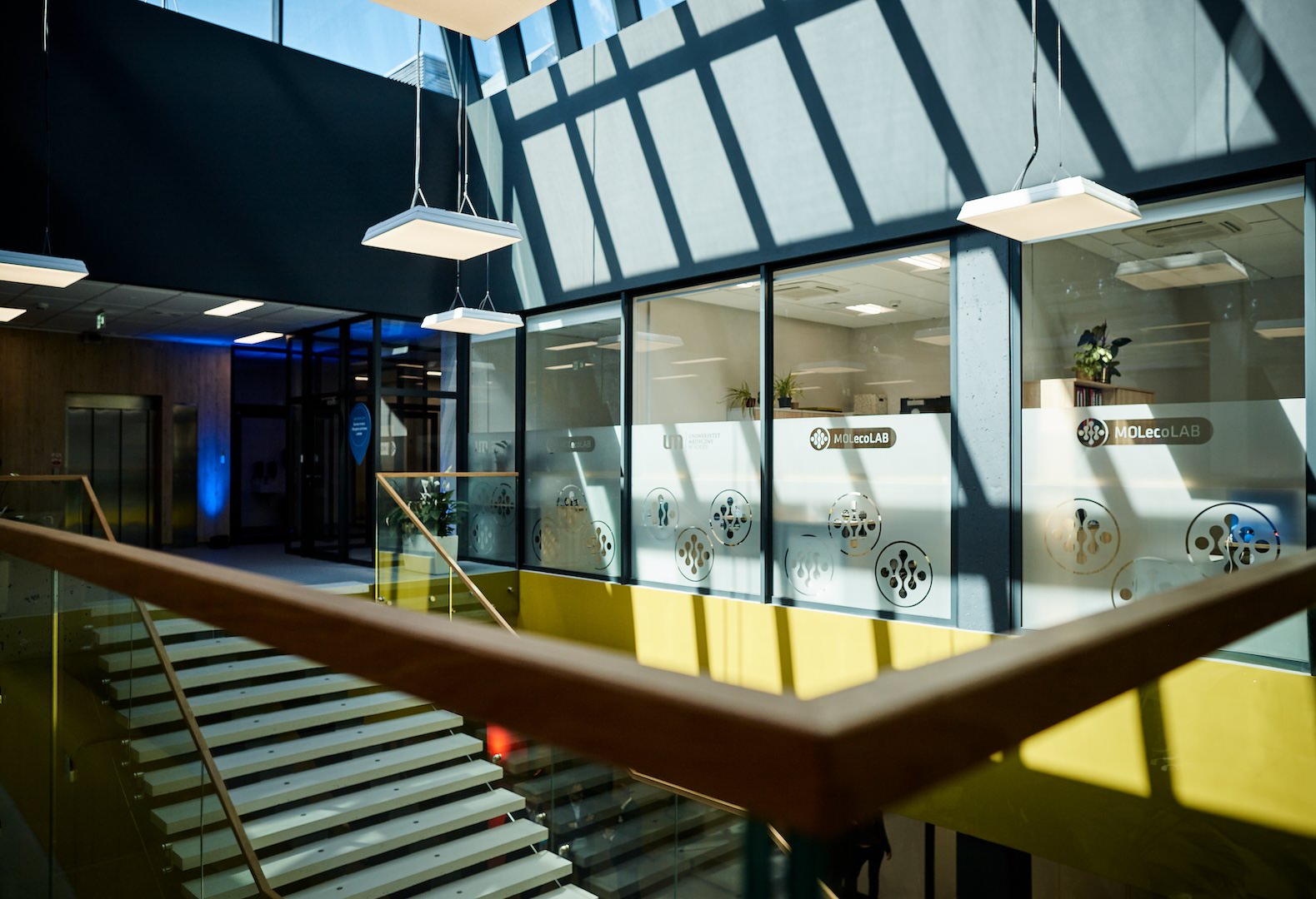 Medizinische Universität Lodz in Polen - Medizinstudium in Polen