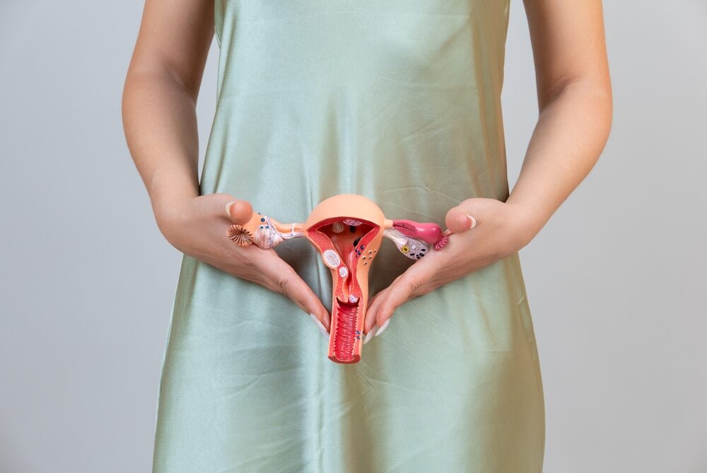 Asain,Woman,Holds,Model,Of,Female,Reproductive,System,In,The