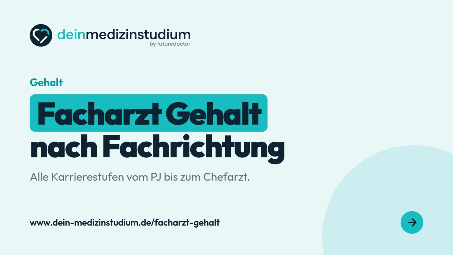 Facharzt Gehalt: Was verdienen Ärzte nach Fachrichtung?