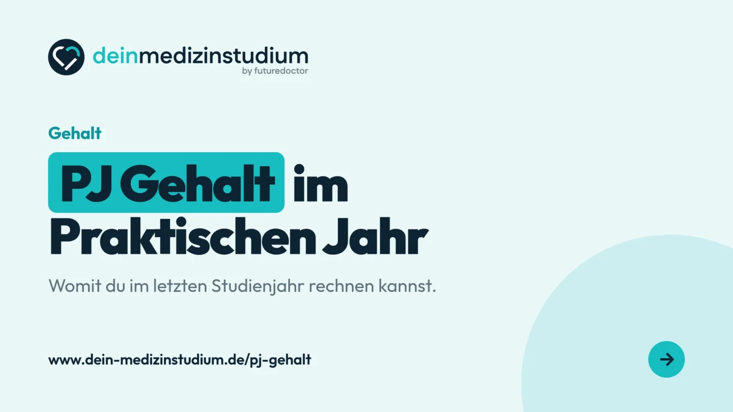 PJ Gehalt: Mit welcher Aufwandsentschädigung du rechnen kannst