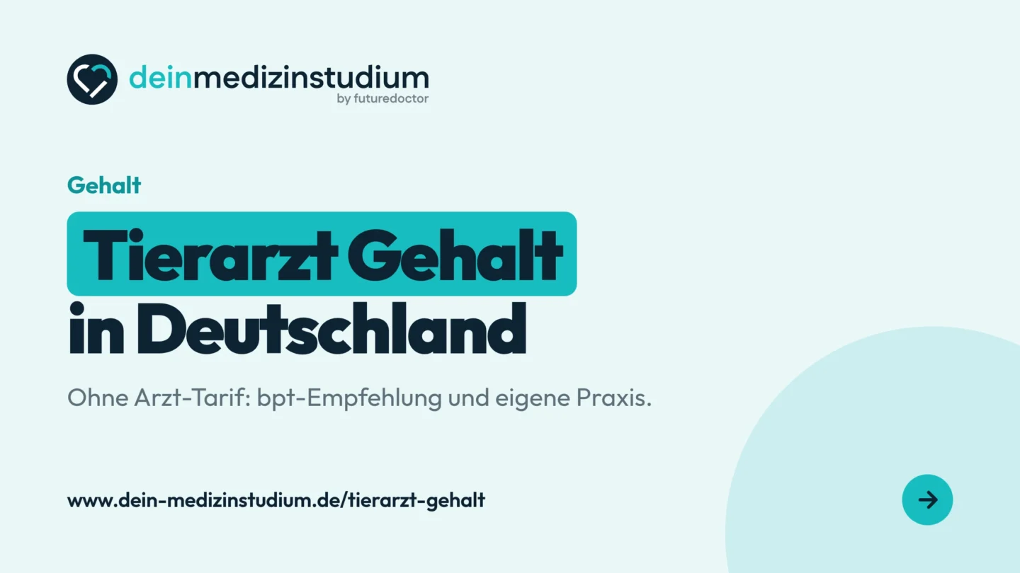 Tierarzt Gehalt: Was verdient ein Tierarzt/-ärztin in Deutschland?